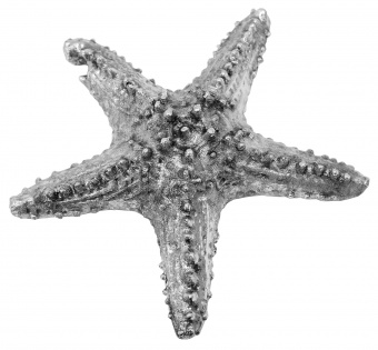 Статуетка морської зірки